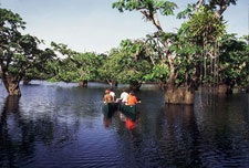 Ecuador-Amazon-Canoeing Adventure in the Cuyabeno Wildlife Reserve